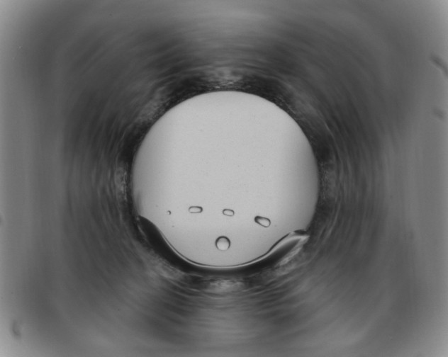 X0000097470274200803141919