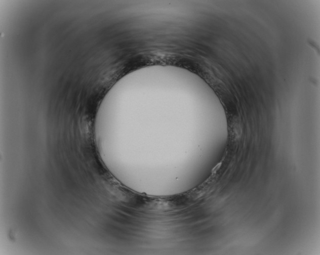 X0000097470276200803141919