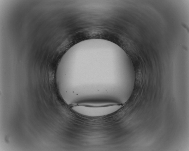 X0000097470278200803141919