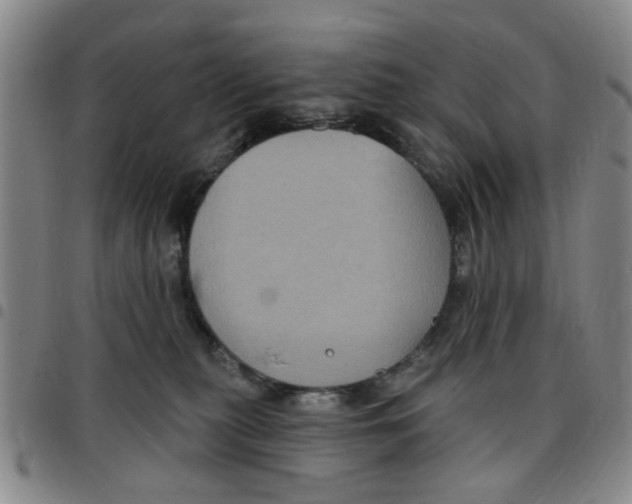 X0000097470279200803141919