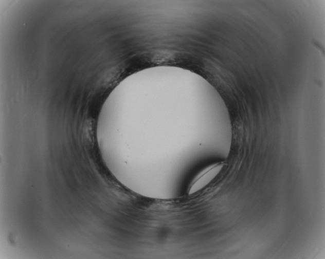 X0000097470280200803141919