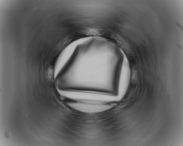 X0000097470281200803141919