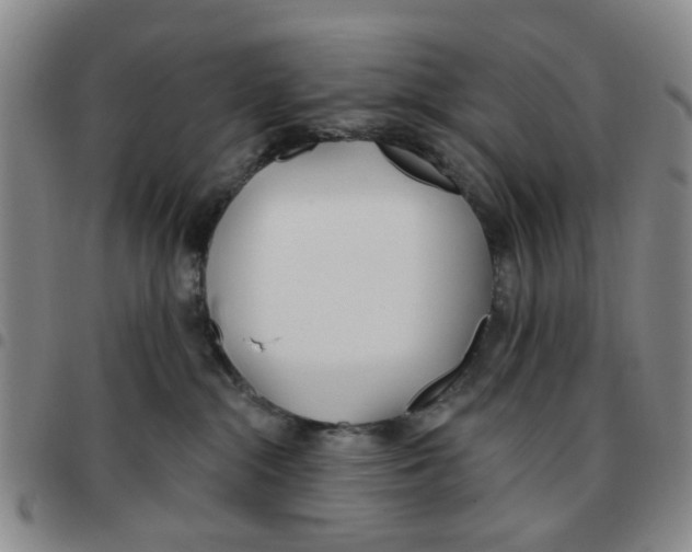X0000097470284200803141919