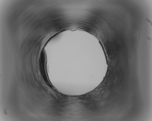 X0000097470289200803141919