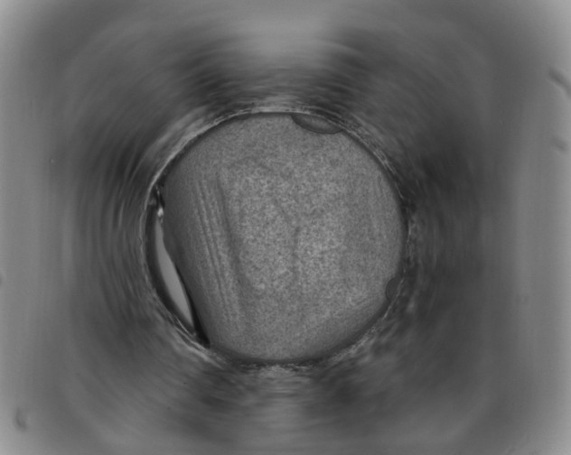 X0000097470290200803141919