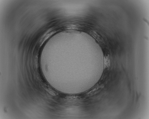 X0000097470291200803141919