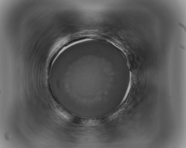 X0000097470293200803141919