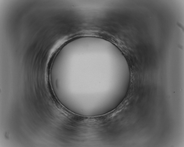X0000097470294200803141919