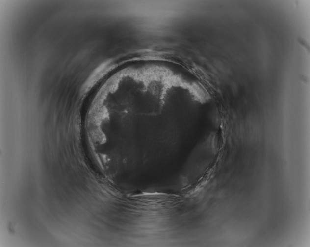 X0000097470295200803141919