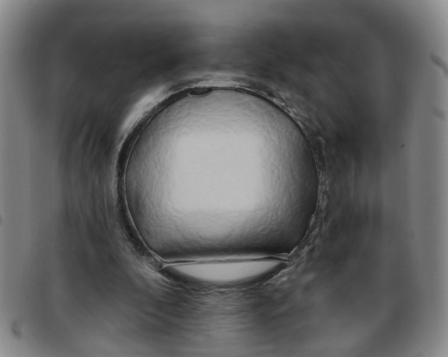 X0000097470296200803141919