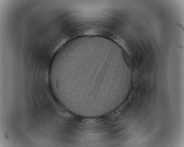 X0000097470297200803141919