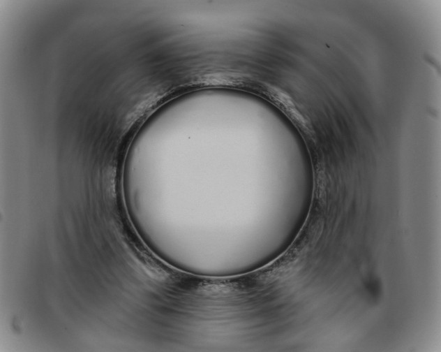 X0000097470299200803141919