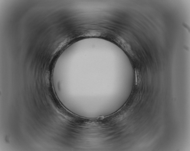 X0000097470300200803141919