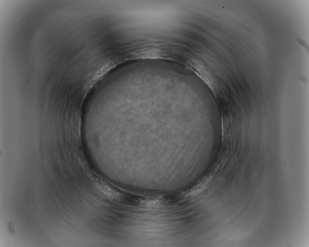 X0000097470301200803141919