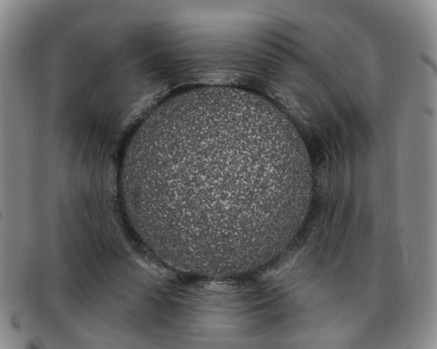 X0000097470303200803141919