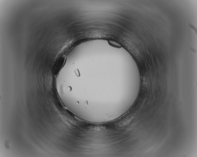 X0000097470304200803141919