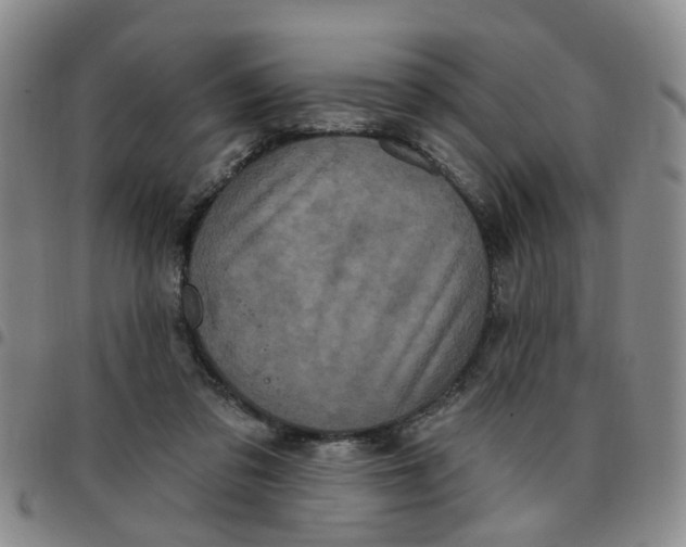 X0000097470309200803141919