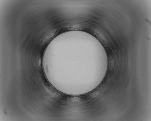 X0000097470310200803141918
