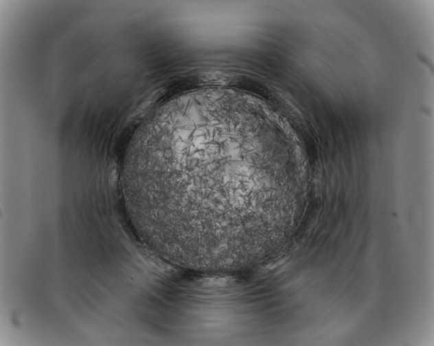 X0000097470314200803141918