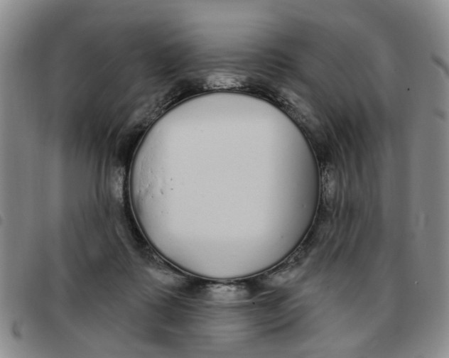 X0000097470315200803141918