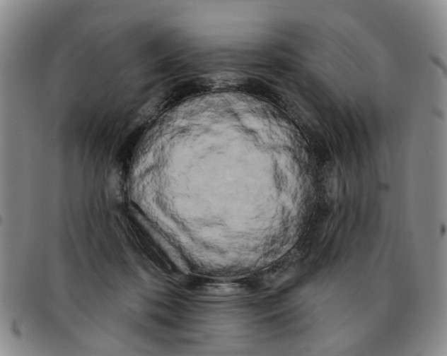 X0000097470316200803141918