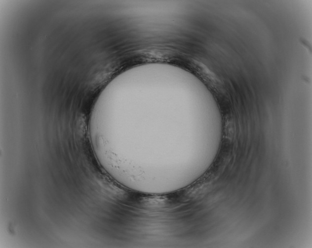 X0000097470318200803141918