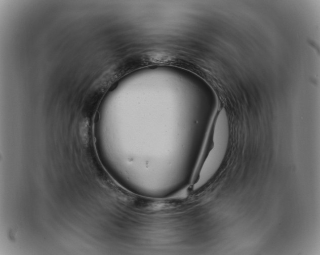 X0000097470319200803141918