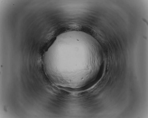 X0000097470320200803141918