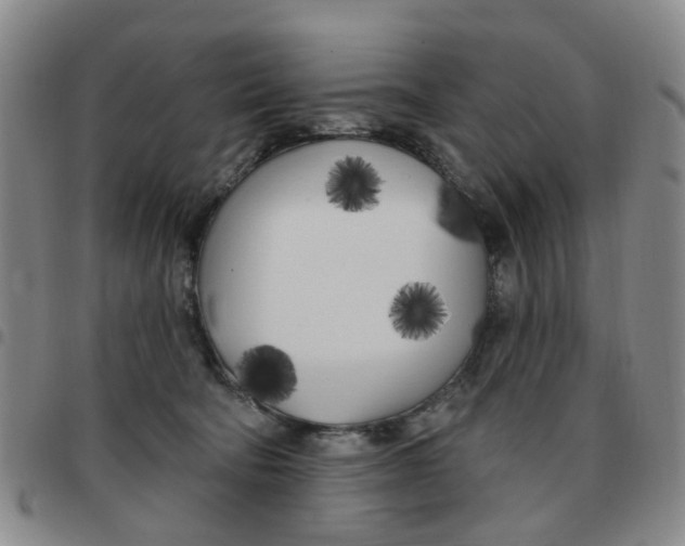 X0000097470322200803141918