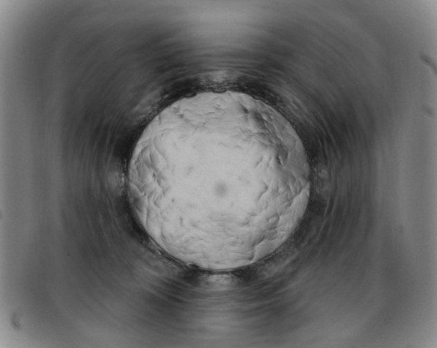X0000097470324200803141918