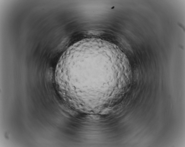 X0000097470328200803141918