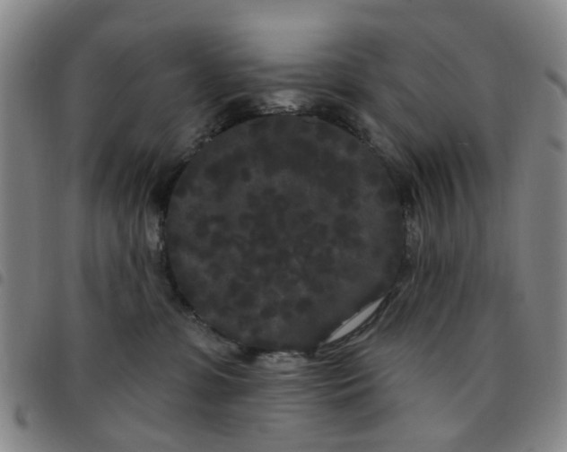 X0000097470331200803141918