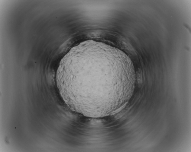 X0000097470332200803141918