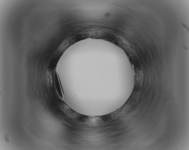 X0000097470333200803141918