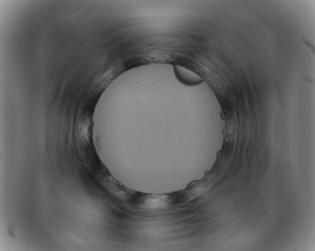 X0000097470334200803141918