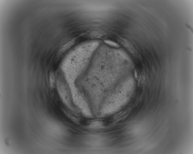 X0000097470335200803141918