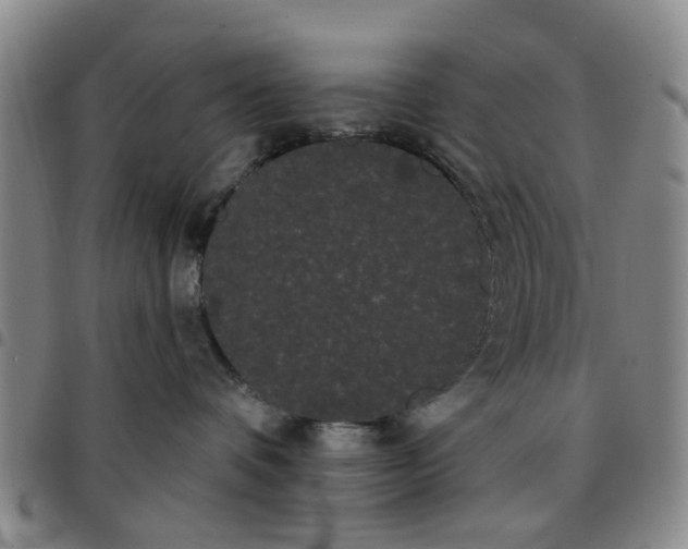 X0000097470336200803141918
