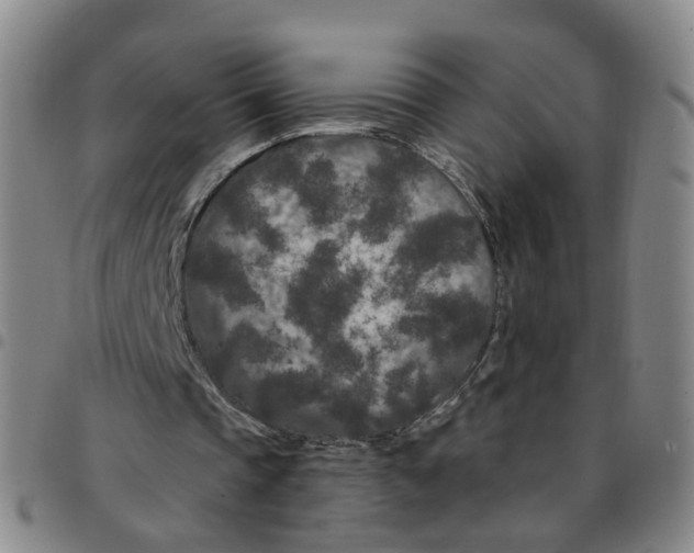 X0000097470337200803141917