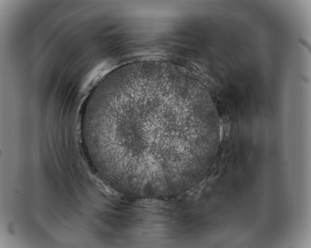 X0000097470339200803141918
