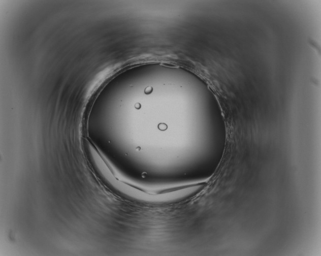 X0000097470340200803141918