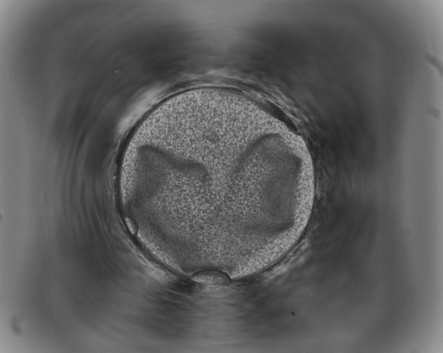 X0000097470341200803141918
