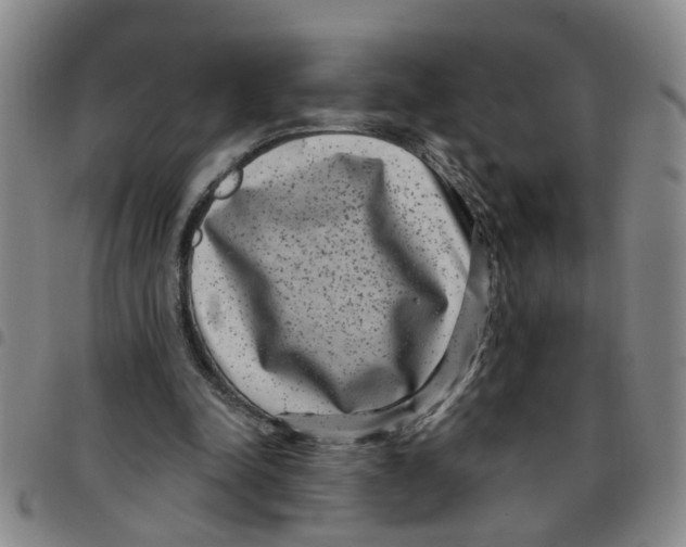X0000097470342200803141918