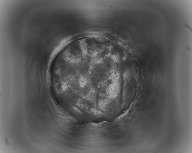 X0000097470343200803141918