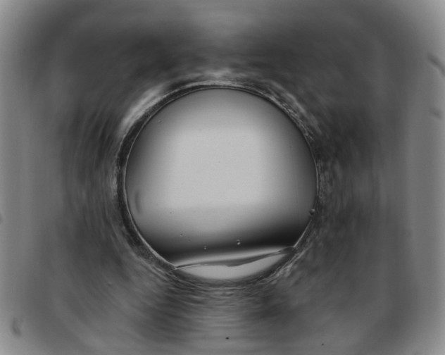 X0000097470344200803141918
