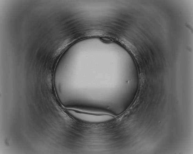 X0000097470345200803141918