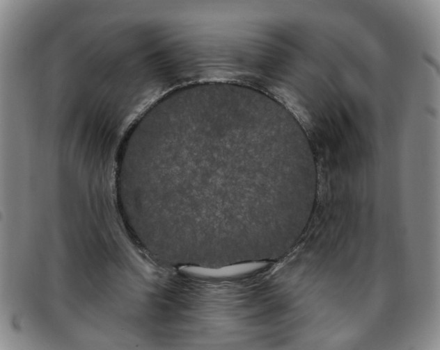 X0000097470346200803141918