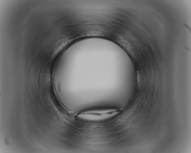 X0000097470348200803141918