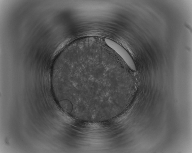 X0000097470349200803141918