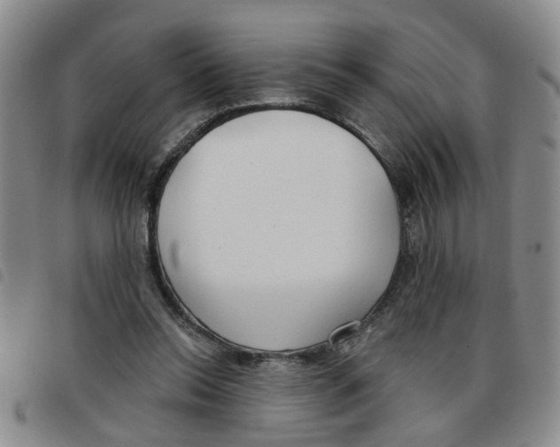 X0000097470350200803141918