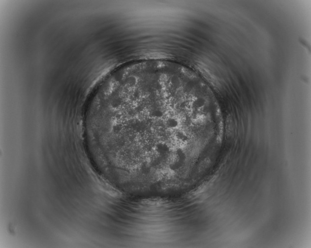 X0000097470351200803141918